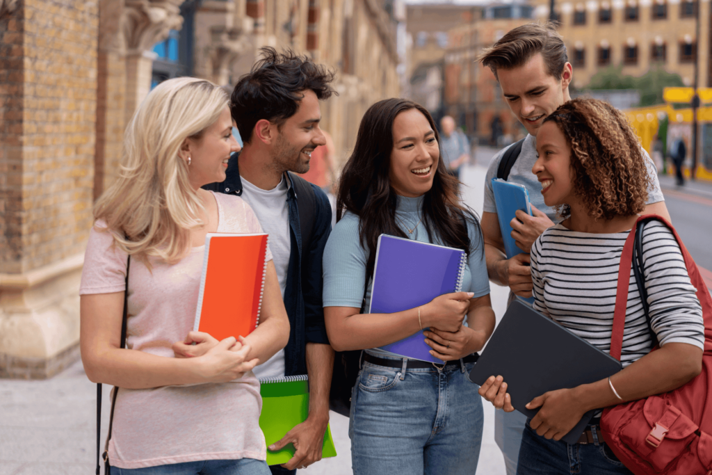 Understanding the Irish Education System